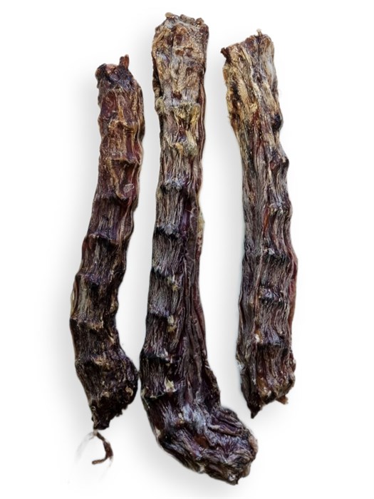 Шеи утки 1699