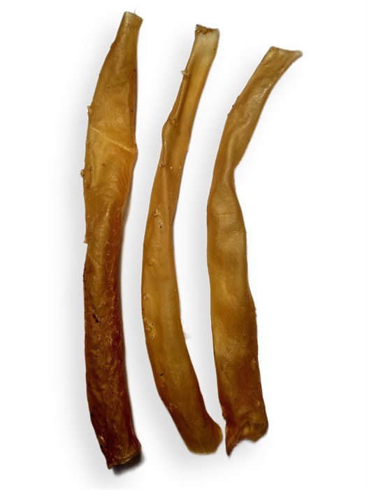 Аорта баранья 1689