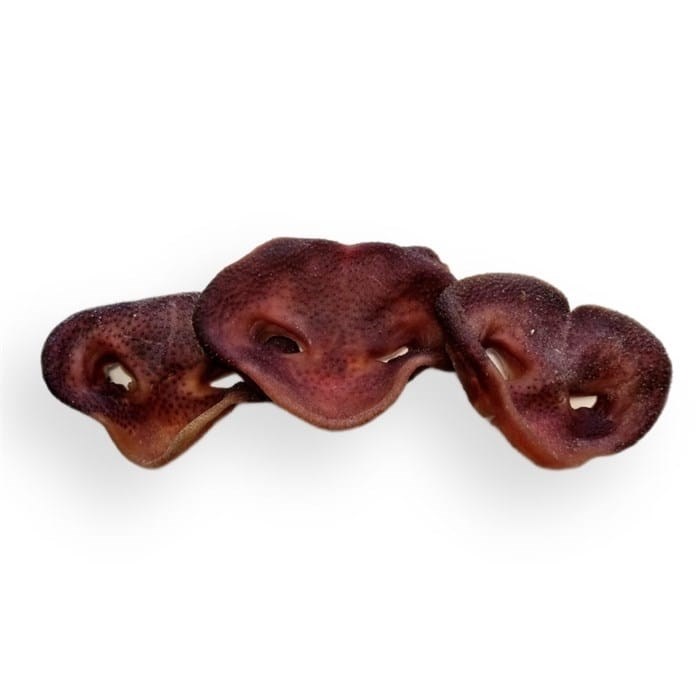 Пятаки свиные 1693