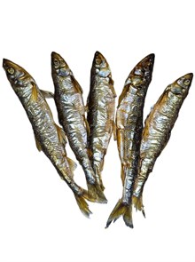 Корюшка 1717
